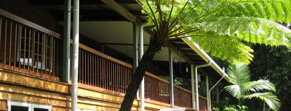Epiphyte Bed & Breakfast, Daintree Accommodation