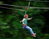 Daintree Jungle Surfing Daintree Jungle Surfing