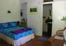 Epiphyte B & B accommodation Daintree