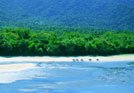 Cape Trib Horse Rides