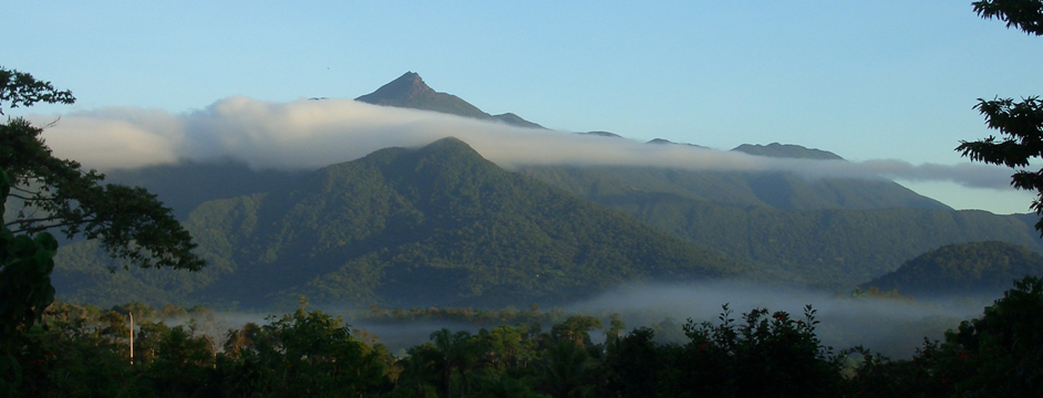 Thorntons Peak - Daintree Rainforest