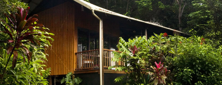 Epiphyte Bed & Breakfast - Verandah