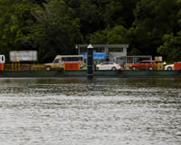 Daintree River Ferry Crossing Daintree River Ferry Crossing