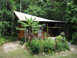 Epiphyte Bed & Breakfast - Cabin