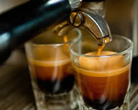 Jambu & Daintree Coffe Comapny - Cape Tribulation Jambu & Daintree Coffe Comapny - Cape Tribulation