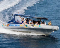 Reef Adventure Tours - Daintree Tours